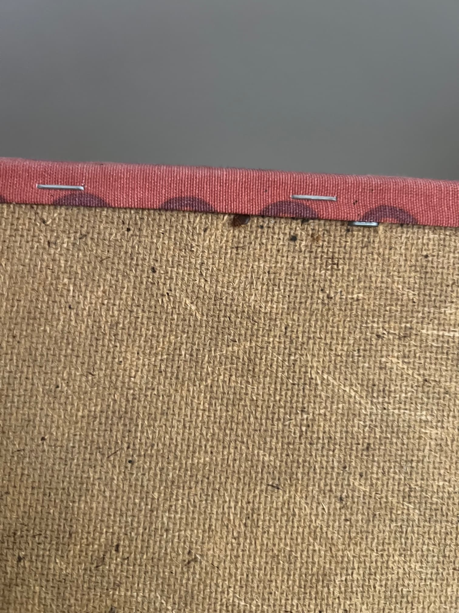 Monitoring Výskytu Štěnic