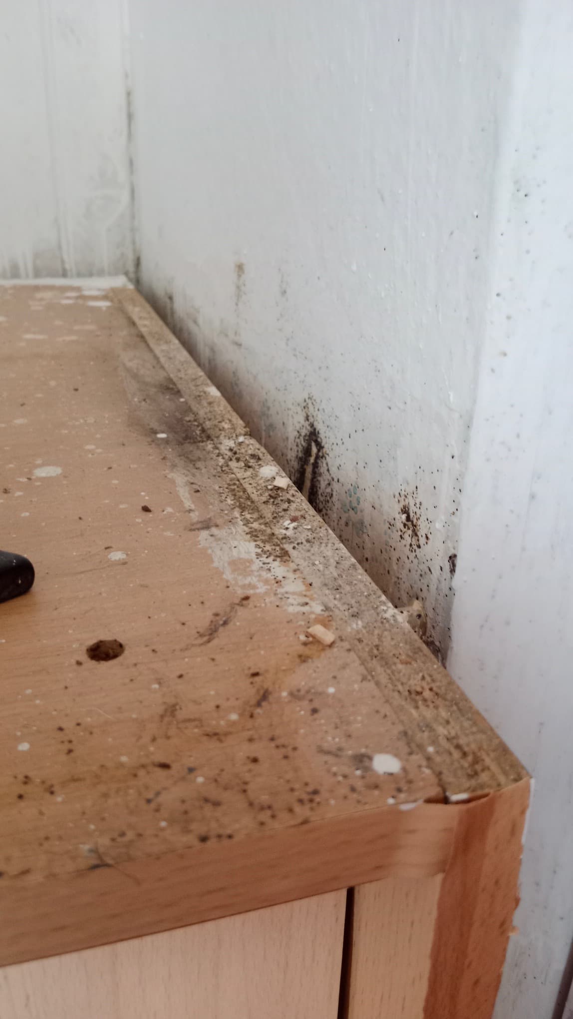 Sanace Plísní ve Sklepních Prostorách