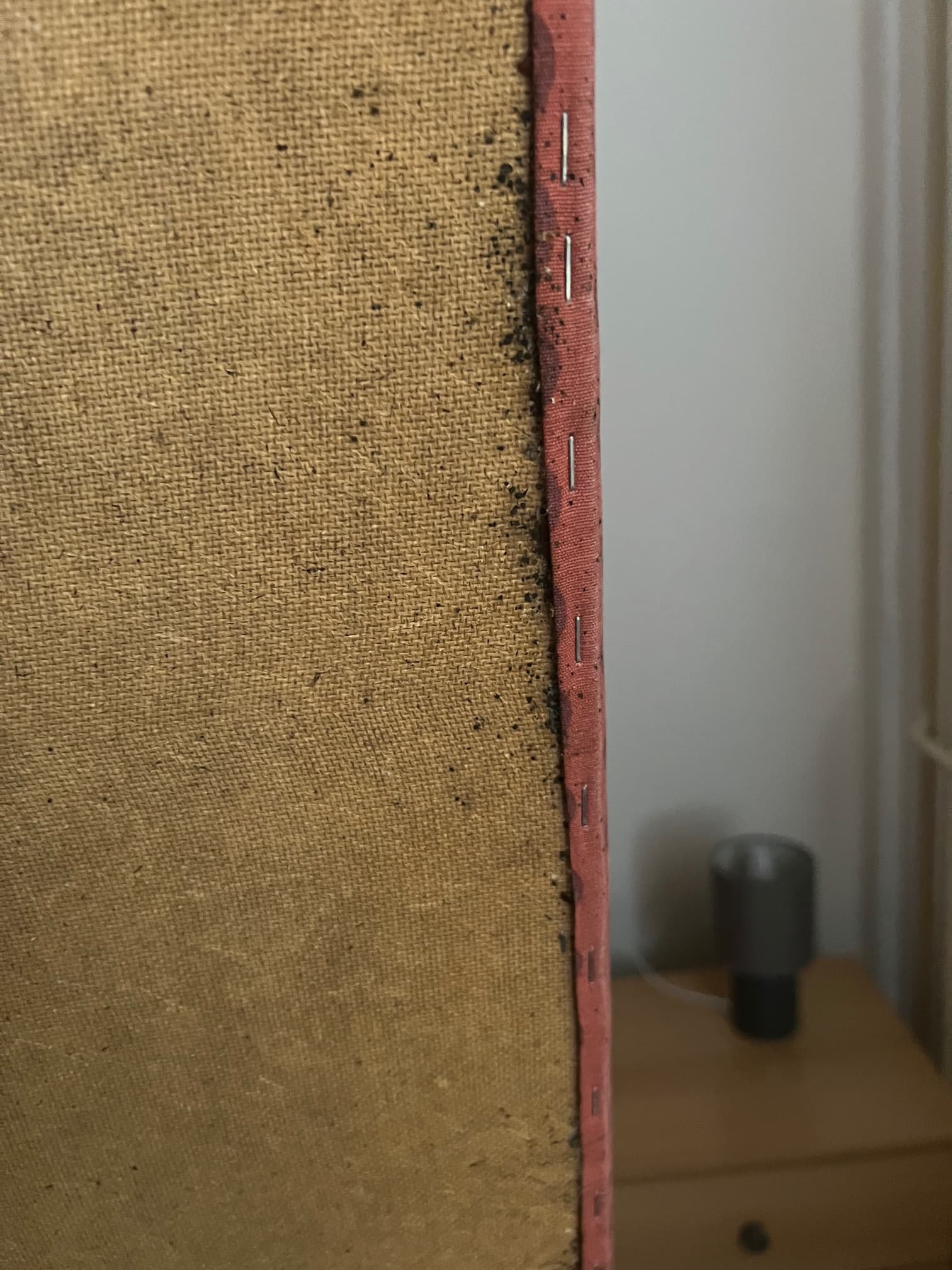 Detekce Štěnic v Čalounění