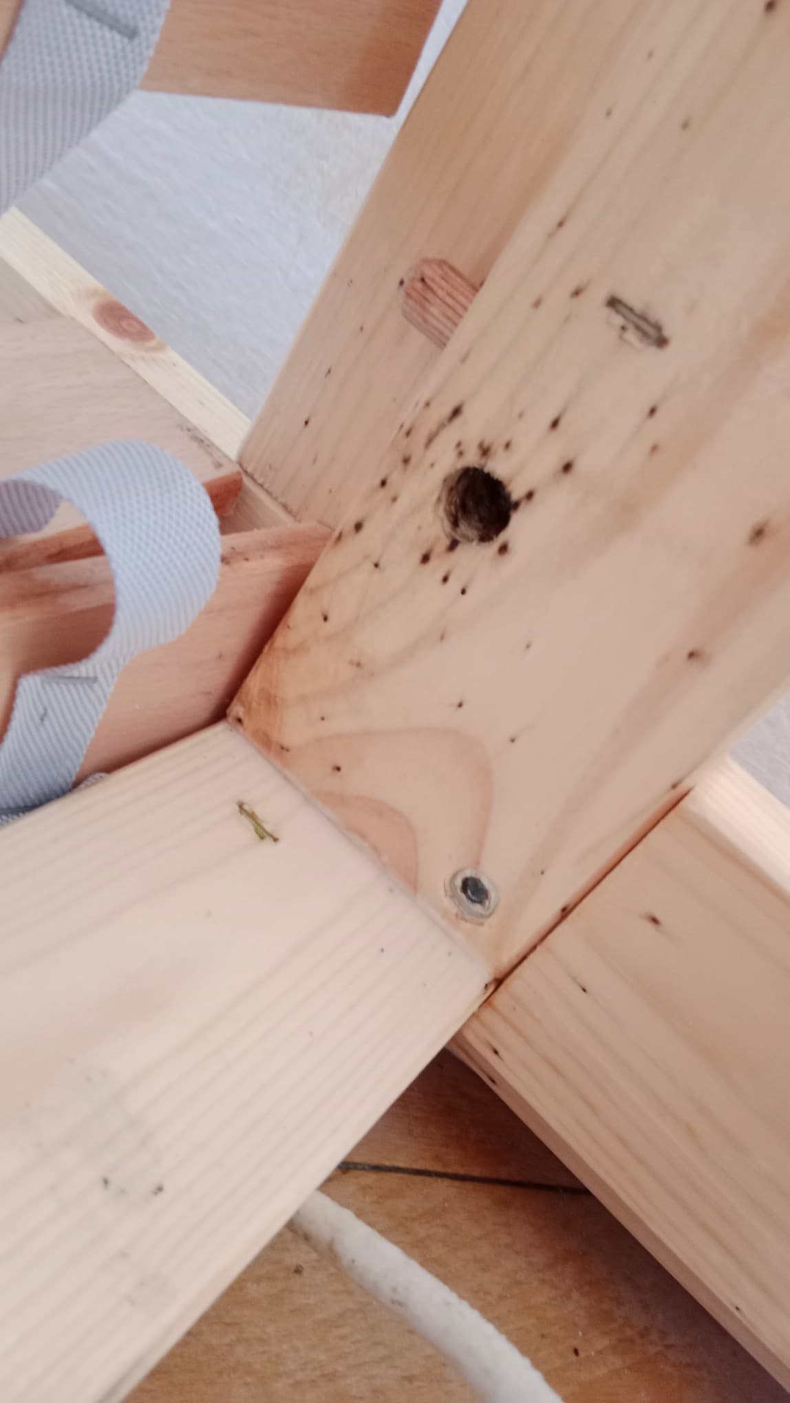 Napadení Dřevěných Konstrukcí