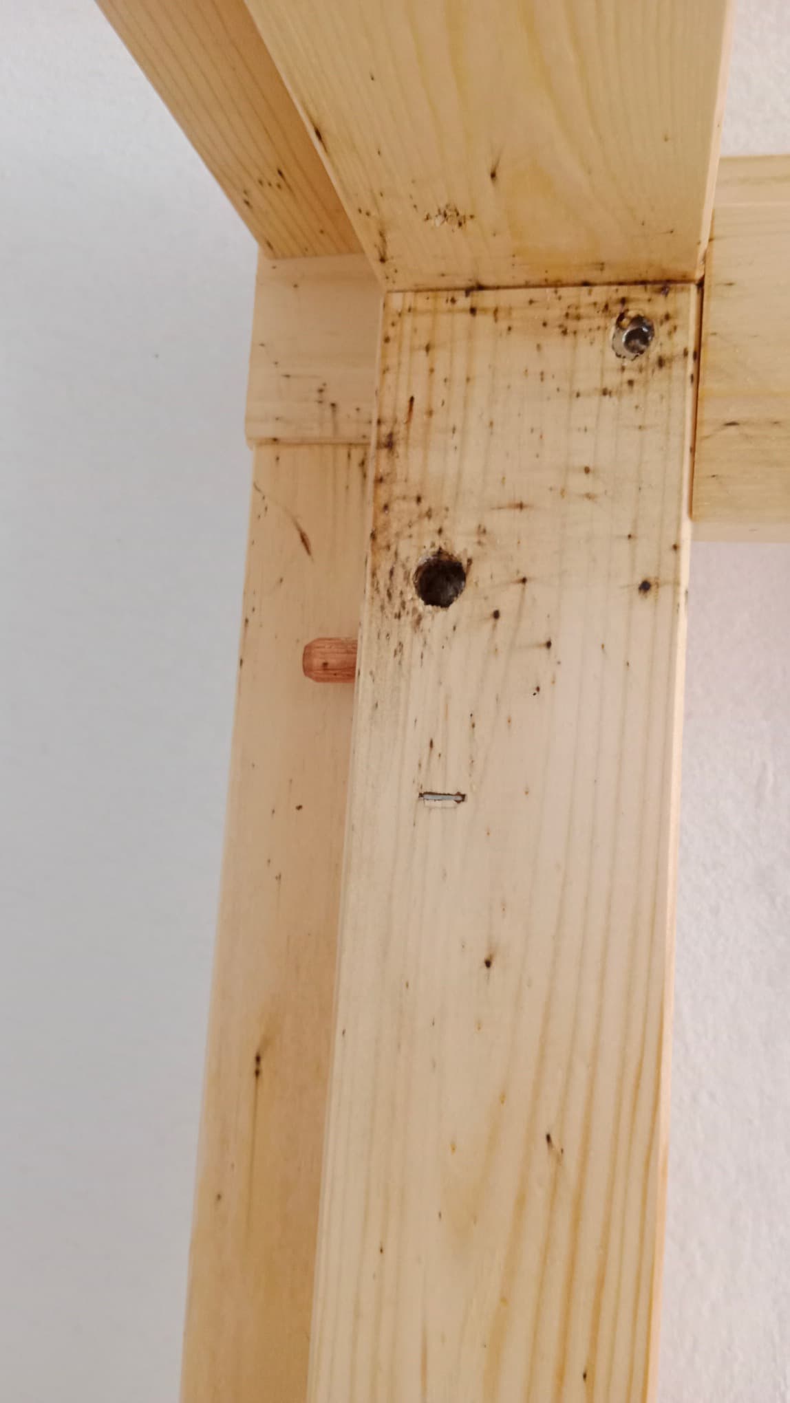 Škody na Dřevěných Prvcích