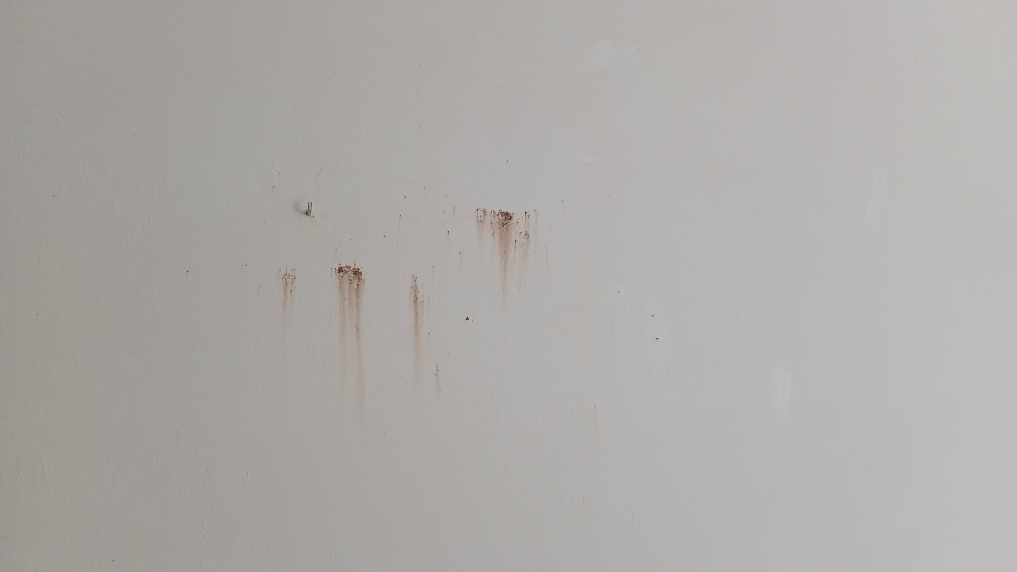 Rezavé Skvrny po Škůdcích