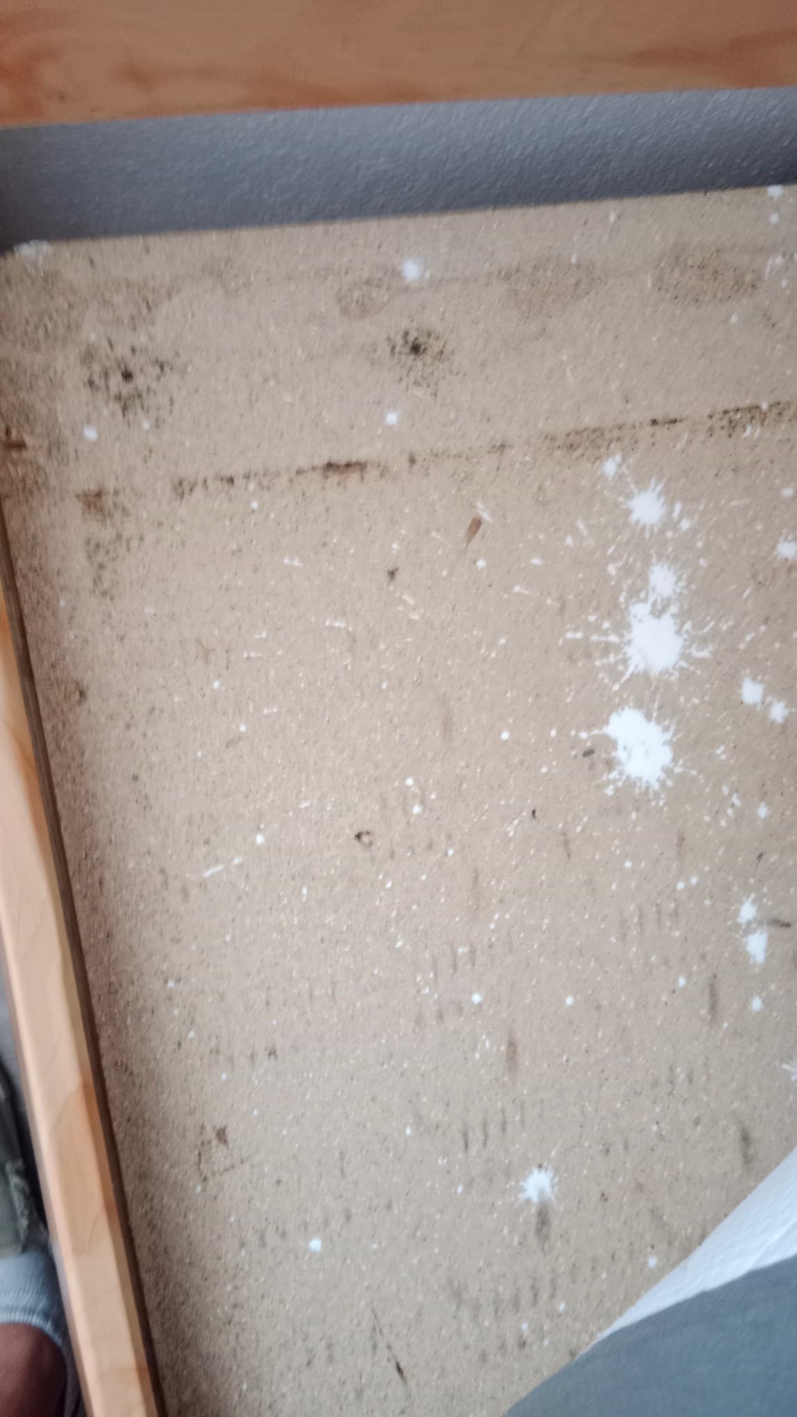 Aplikace Insekticidního Prášku